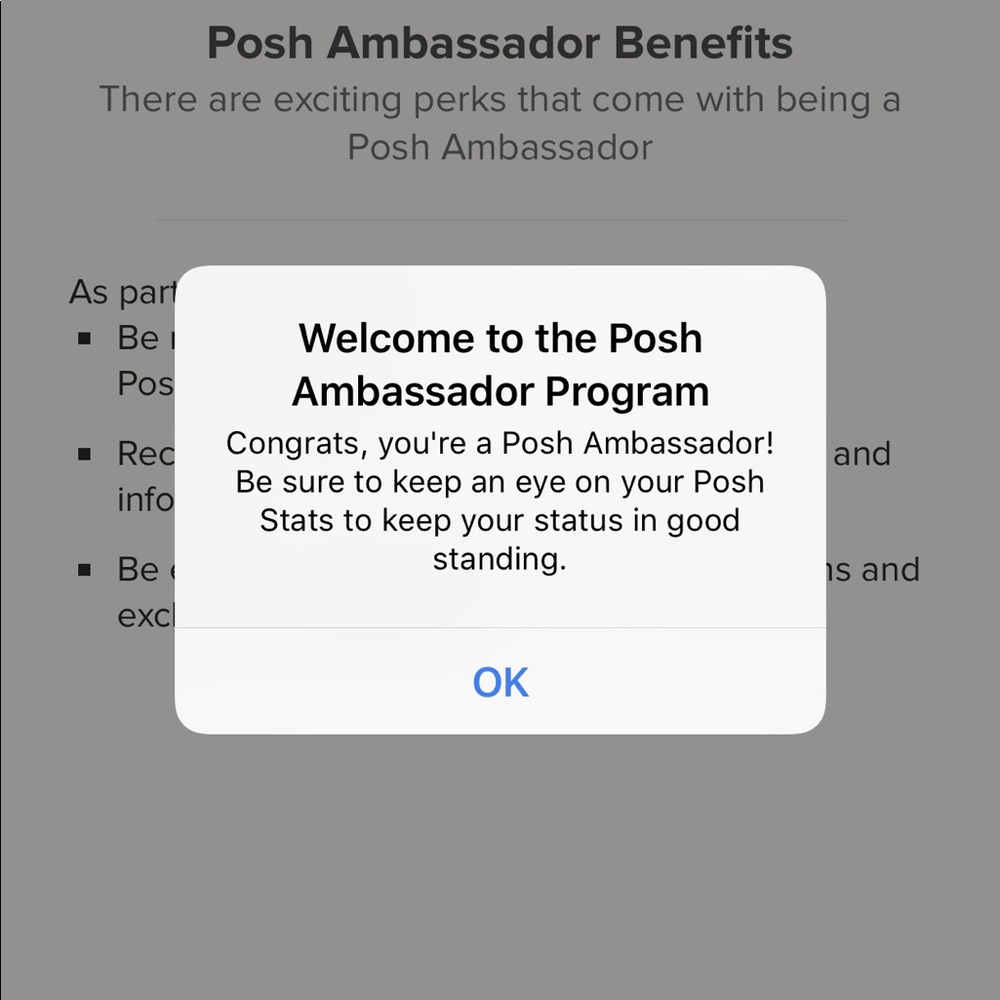 POSH AMBASSADOR! - Picture 3 of 3